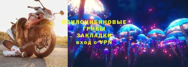 тгк Медвежьегорск